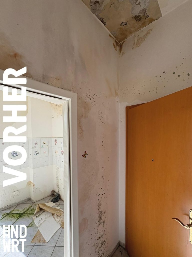 Flur mit Wasserschaden, feuchte Wände mit Schimmelbefall, beschädigte Decke und Durchgang zu Bad mit Fliesen