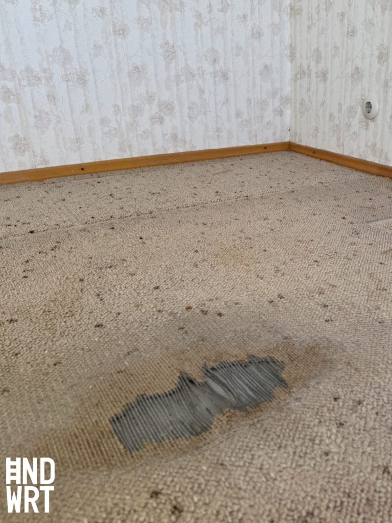 Raumecke mit beigem Teppichboden, Holzsockelleiste und gemusterter Tapete, Teppich mit Flecken und Beschädigungen