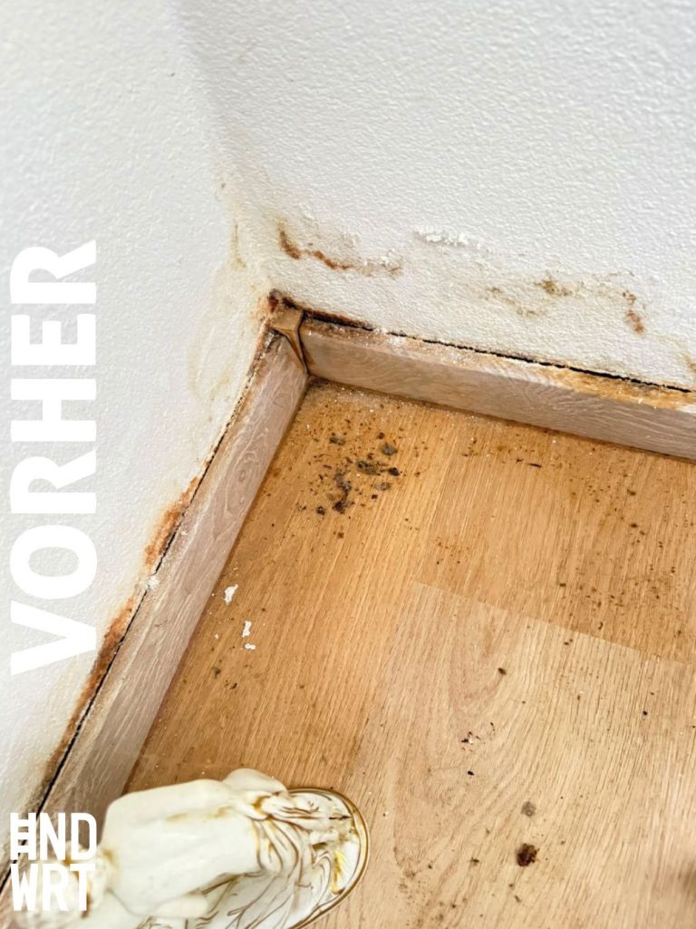 Fußleiste und Wandbereich mit Feuchtigkeitsschäden, Verfärbungen und abgeplatztem Putz auf Holzboden