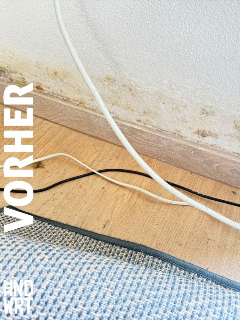Fußleiste mit Feuchtigkeitsflecken und Schimmelansatz an weißer Wand, Parkett mit Trocknungsschläuchen