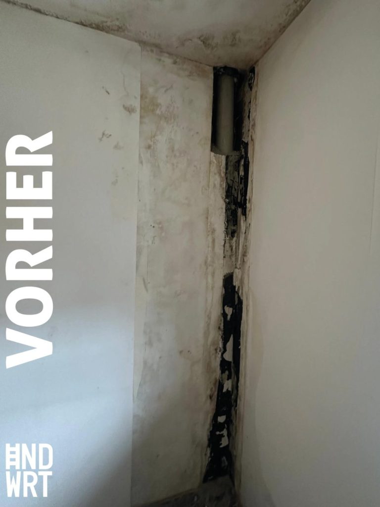 Raumecke mit dunklem Schimmelbefall an Decke und Wand, teilweise freigelegtes Mauerwerk und Rohr
